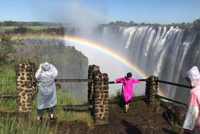 Visita guiada de las cataratas Victoria y vuelo de los ángeles