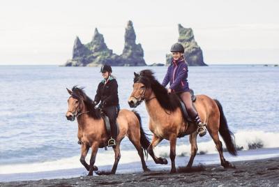 Excursión a caballo por la playa de arena negra desde Vik