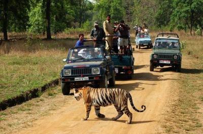 Excursión privada de 3 días a los tigres de Ranthambhore, que incluye Agra y Jaipur