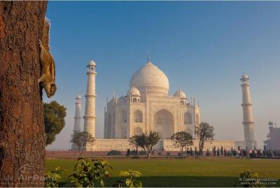 Excursión privada de un día al Taj Mahal y Agra desde Agra