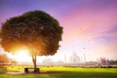 Excursión privada a Taj Mahal Sunrise y Agra Fort desde Delhi - Todo incluido