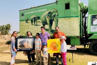 Excursión privada de medio día a Wildlife SOS desde Agra