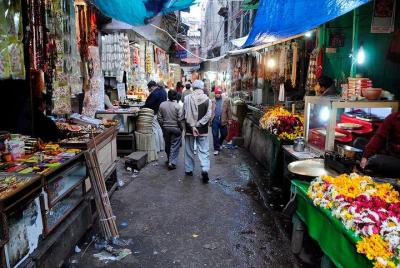 Tour privado: Paseo por la ciudad de Agra