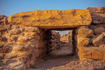Vistas históricas, ciudades reales y santuarios de vida silvestre de Gujarat Vistas históricas, ciudades reales y santuarios de vida silvestre de Gujarat