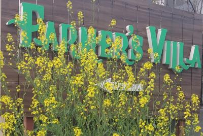 Viaje de pueblo Amritsar