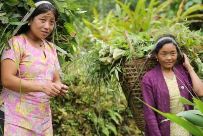 Tour cultural de Sikkim (7 días) Tour cultural de Sikkim (7 días)