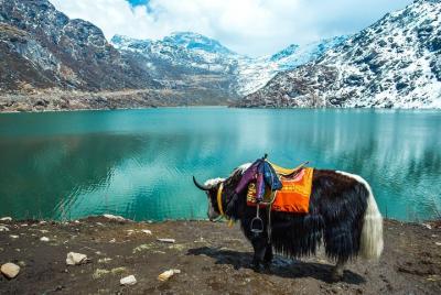 Tour grupal Norte Sikkim 6 días Tour grupal Norte Sikkim 6 días