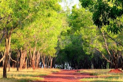 Campo y pista de baile en Bangalore