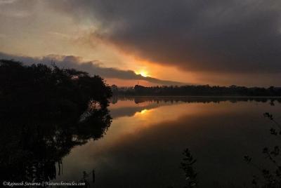 Tour de fotografía de aves y pájaros en Bangalore