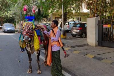 Old Bangalore Walk con guía y refrescos.