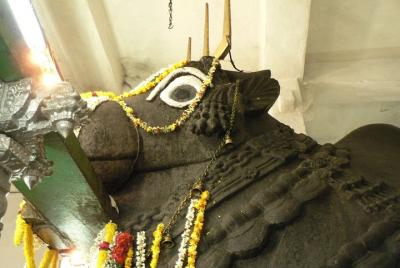 Paseo de la Divinidad Bangalore