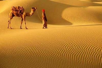 Un camello Safari a través del desierto de Thar Dunas de arena cerca de Bikaner Un camello Safari a través del desierto de Thar Dunas de arena cerca de Bikaner