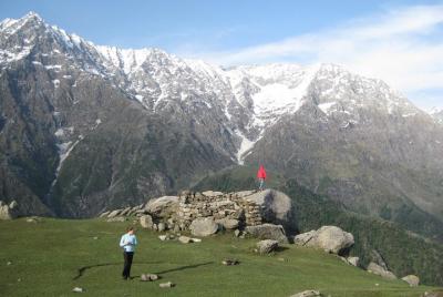 Jardines de té Dharamshala y Palampur de Chandigarh