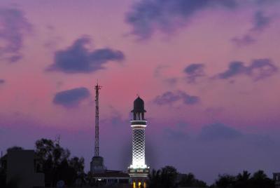 Tour gratis a pie por Chandigarh