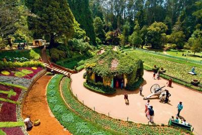 Recorrido por la ciudad de Ooty (recogida en el hotel) Recorrido por la ciudad de Ooty (recogida en el hotel)