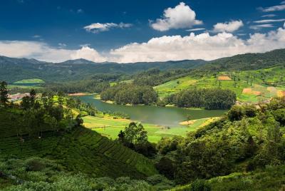 Aspectos turísticos más destacados de Ooty (visita turística guiada de día completo por la ciudad en coche) Aspectos turísticos más destacados de Ooty (visita turística guiada de día completo por la ciudad en coche)
