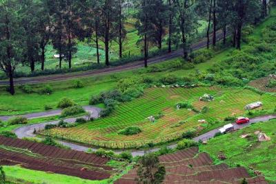 Tour de Ooty y Kumarakom Tour de Ooty y Kumarakom