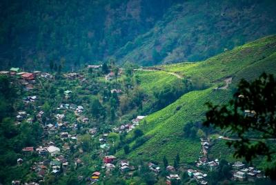 Aspectos destacados del turismo de Darjeeling (visita turística guiada de día completo en coche) Aspectos destacados del turismo de Darjeeling (visita turística guiada de día completo en coche)