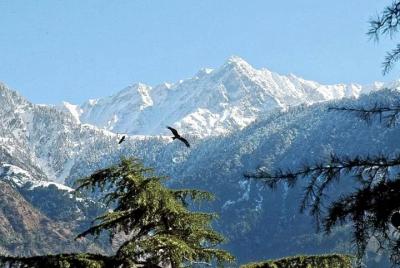 Trekking Triund con camping - BanBanjara Trekking Triund con camping - BanBanjara