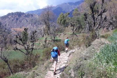 Trekking privado de yoga de 4 días en el Himalaya indio en Daramshala Trekking privado de yoga de 4 días en el Himalaya indio en Daramshala