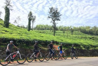 Excursión privada de medio día en bicicleta por el valle de Kangra desde Dharamshala Excursión privada de medio día en bicicleta por el valle de Kangra desde Dharamshala