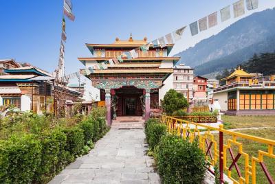 Experimente lo mejor de Dharamshala con un local: tour privado de 4 horas en automóvil AC Experimente lo mejor de Dharamshala con un local: tour privado de 4 horas en automóvil AC