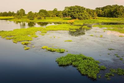 Excursión de un día a Majuli (visita privada guiada desde Guwahati) Excursión de un día a Majuli (visita privada guiada desde Guwahati)