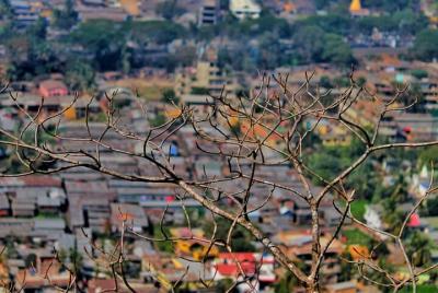 Patrimonio y Paseo Cultural de Guwahati (2 horas de visita guiada a pie) Patrimonio y Paseo Cultural de Guwahati (2 horas de visita guiada a pie)