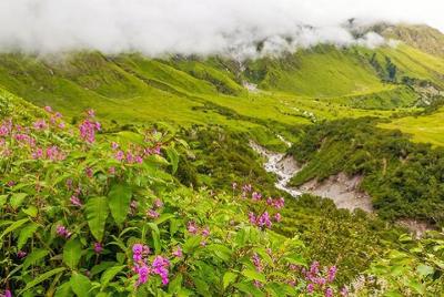 Valle de las Flores y Hemkund Trek - Banbanjara Valle de las Flores y Hemkund Trek - Banbanjara