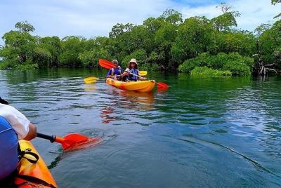 Kayak nocturno en Swaraj Dweep (Havelock), Andamans