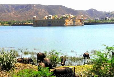 Memorable Jaipur Tour en coche Memorable Jaipur Tour en coche