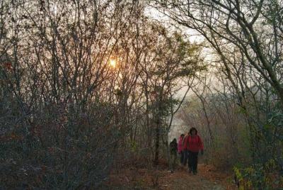 ¡Camina por los bosques de Jaipur! Una caminata inolvidable! ¡Experiencia real de la jungla! ¡Camina por los bosques de Jaipur! Una caminata inolvidable! ¡Experiencia real de la jungla!