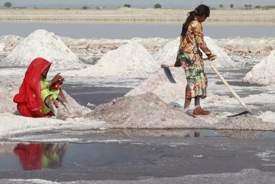 Sambhar Lake Salt Farms Templo sagrado de Jaipur Sambhar Lake Salt Farms Templo sagrado de Jaipur