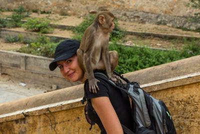 Visita privada a los templos de Jaipur y sitios espirituales Visita privada a los templos de Jaipur y sitios espirituales