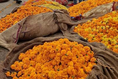 Visite el mercado de flores y verduras frescas en la ciudad rosa de Jaipur Visite el mercado de flores y verduras frescas en la ciudad rosa de Jaipur