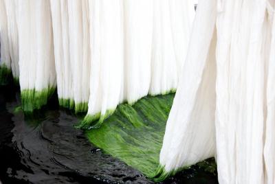 Aprende el arte de teñir textiles en Sanganer, cerca de Jaipur