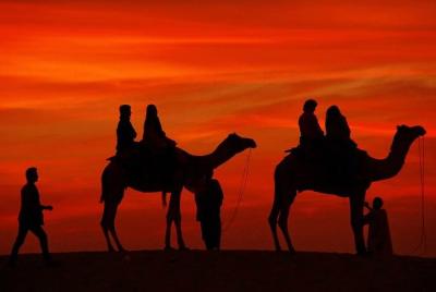 Camping de lujo en dunas de arena, Jaisalmer