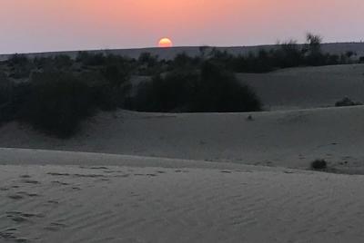 Desert Safari en una zona remota del desierto pero sin camellos.