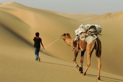 Safari de medio día al atardecer con paseo en camello y programa cultural