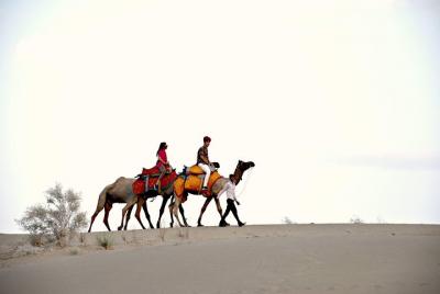 Jasmin Desert Safari & Camp