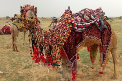 Jaisalmer Camel Safari