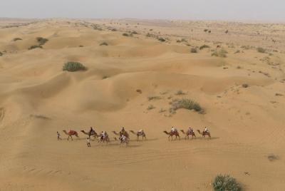 Safari en camello al amanecer de medio día con trotones