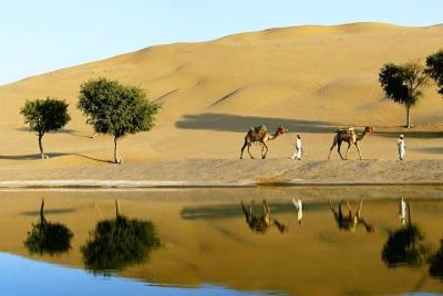 Fuerte histórico de Khimsar y estancia en las dunas
