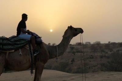 Excursión privada de 6 días a Jodhpur, Jaisalmer y Udaipur desde Jodhpur