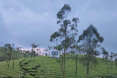 Paquete de 3 días Munnar Tour