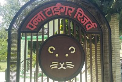 Panna Safari Trip en Asahi India Tours- Parque Nacional Panna-Reserva de Tigres de Panna.