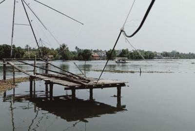 Experiencia de Kochi Backwater incluyendo traslado en Tuk Tuk Experiencia de Kochi Backwater incluyendo traslado en Tuk Tuk