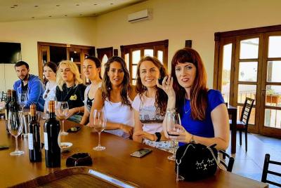 Tour privado de cata de vinos de día completo Tour privado de cata de vinos de día completo