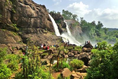 Excursión de un día a Athirapally Excursión de un día a Athirapally
