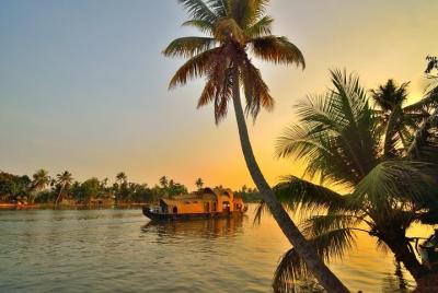 6D / 5N en Kochi-Munnar-Thekkady- Alleppey - Una visita guiada 6D / 5N en Kochi-Munnar-Thekkady- Alleppey - Una visita guiada